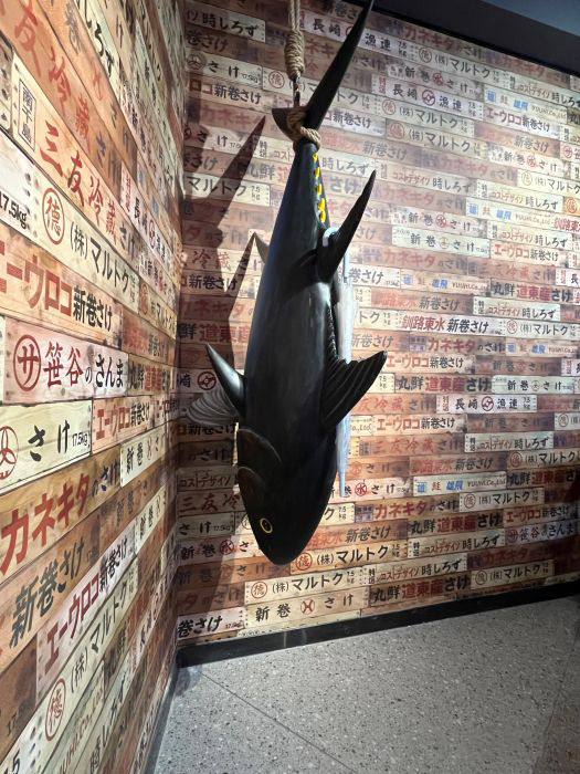 吊裝金槍魚(yú)